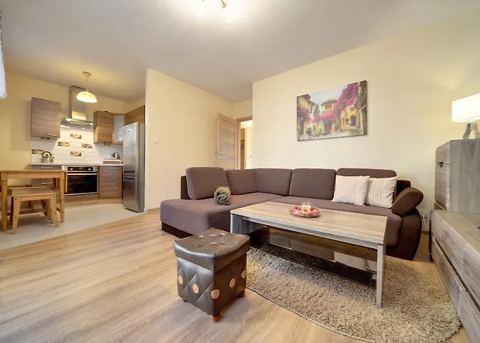 Apartment Przytulne Apartamenty Sun Seasons 24 W Szklarskiej Porebie By Noclegi Renters Szklarska Poreba